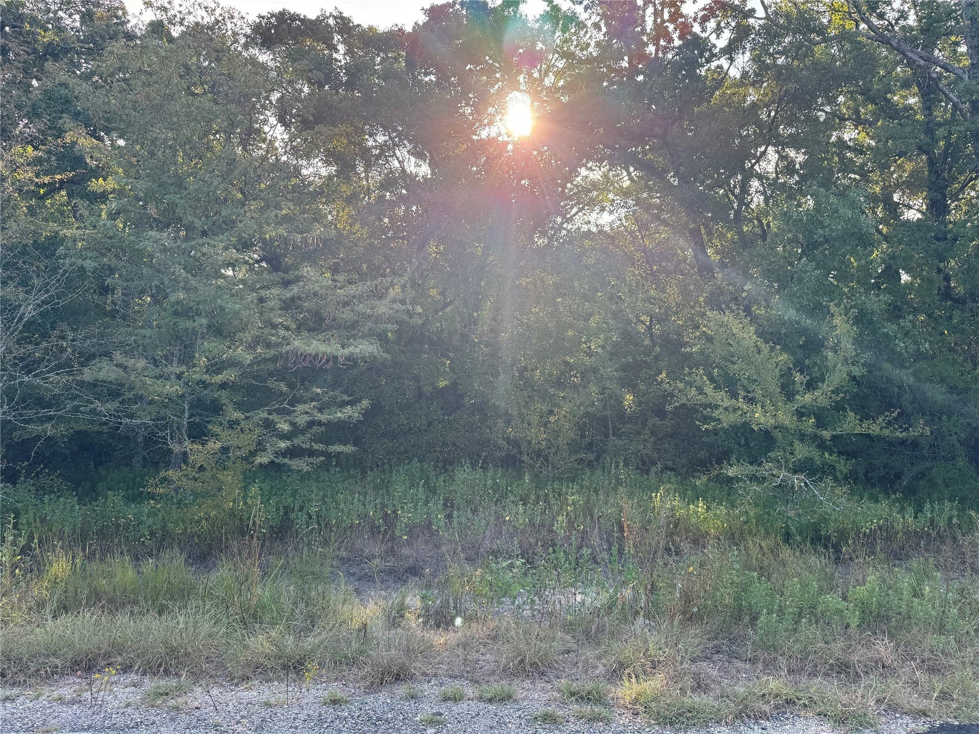 5 acres in Kaufman County - photo 3