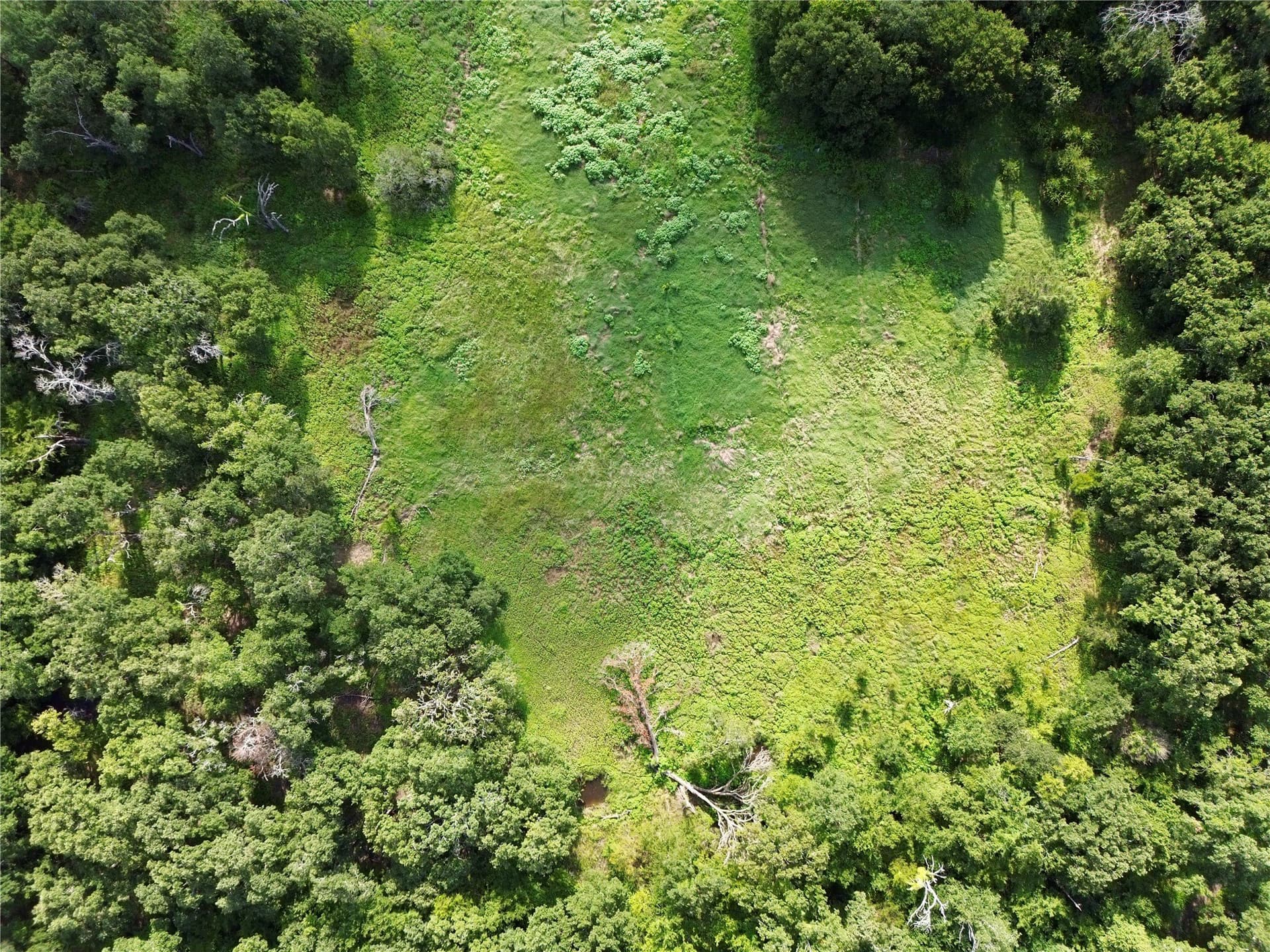 5 acres in Kaufman County - photo 4