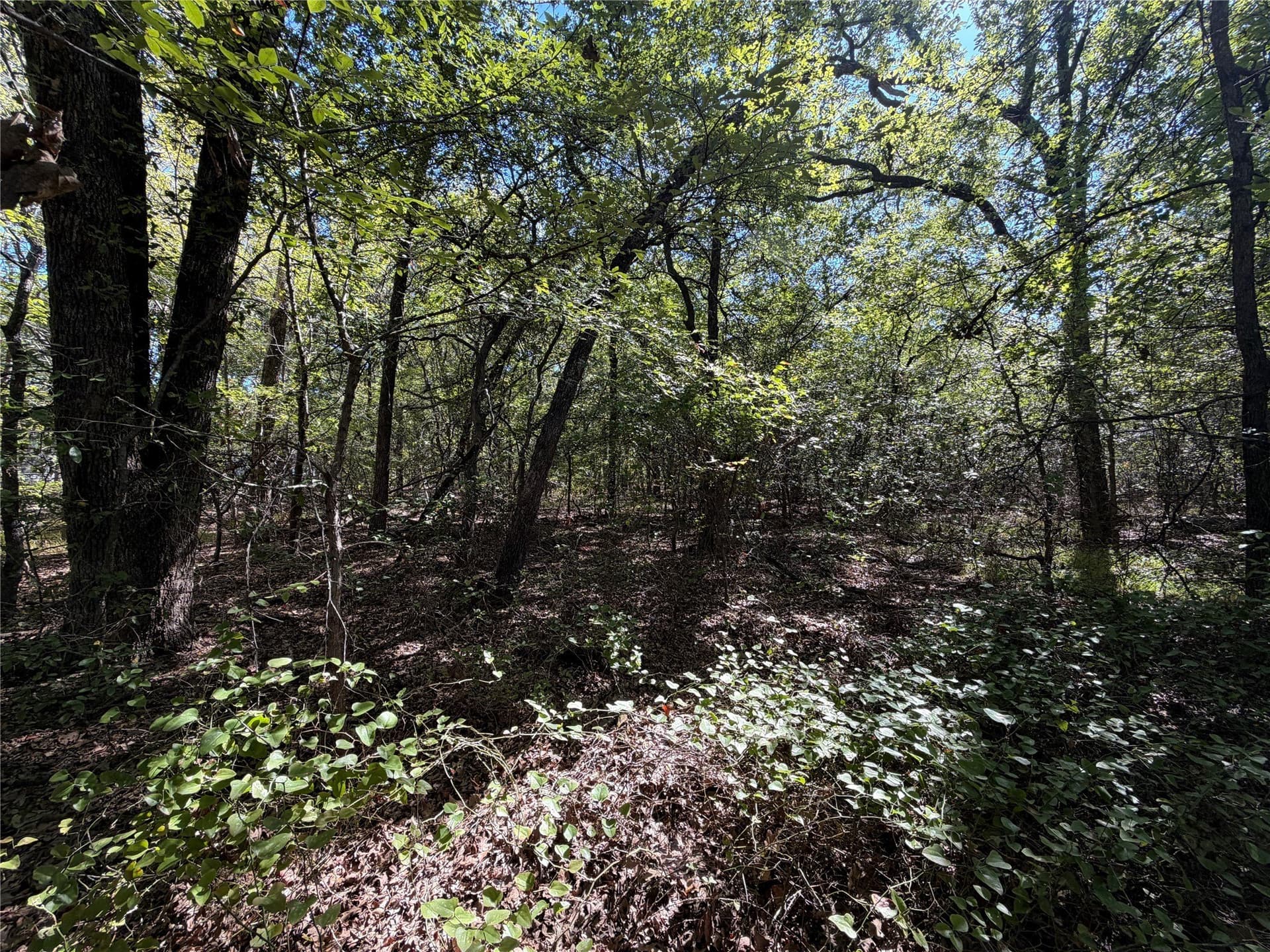 5 acres in Kaufman County - photo 12