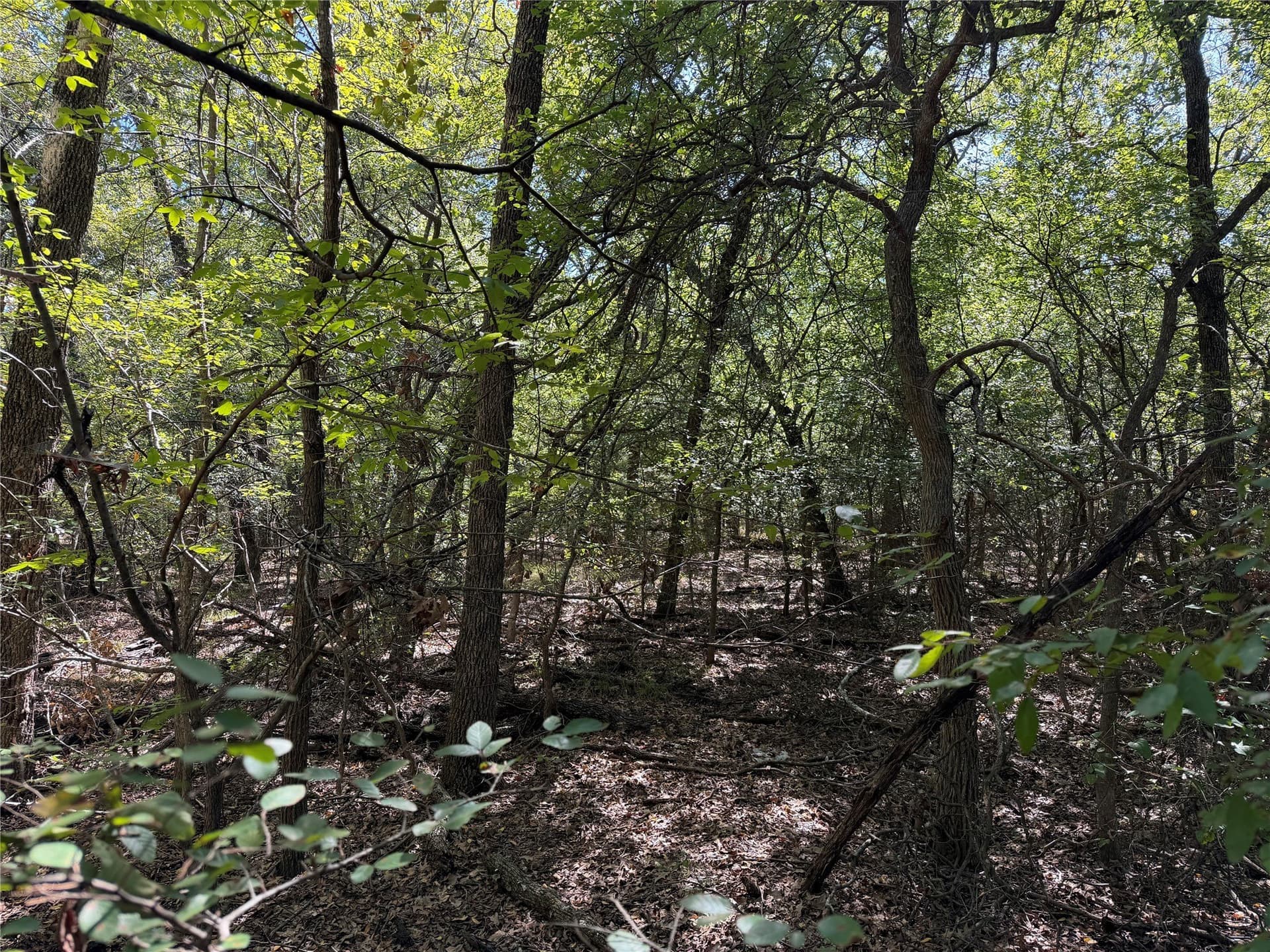 5 acres in Kaufman County - photo 13