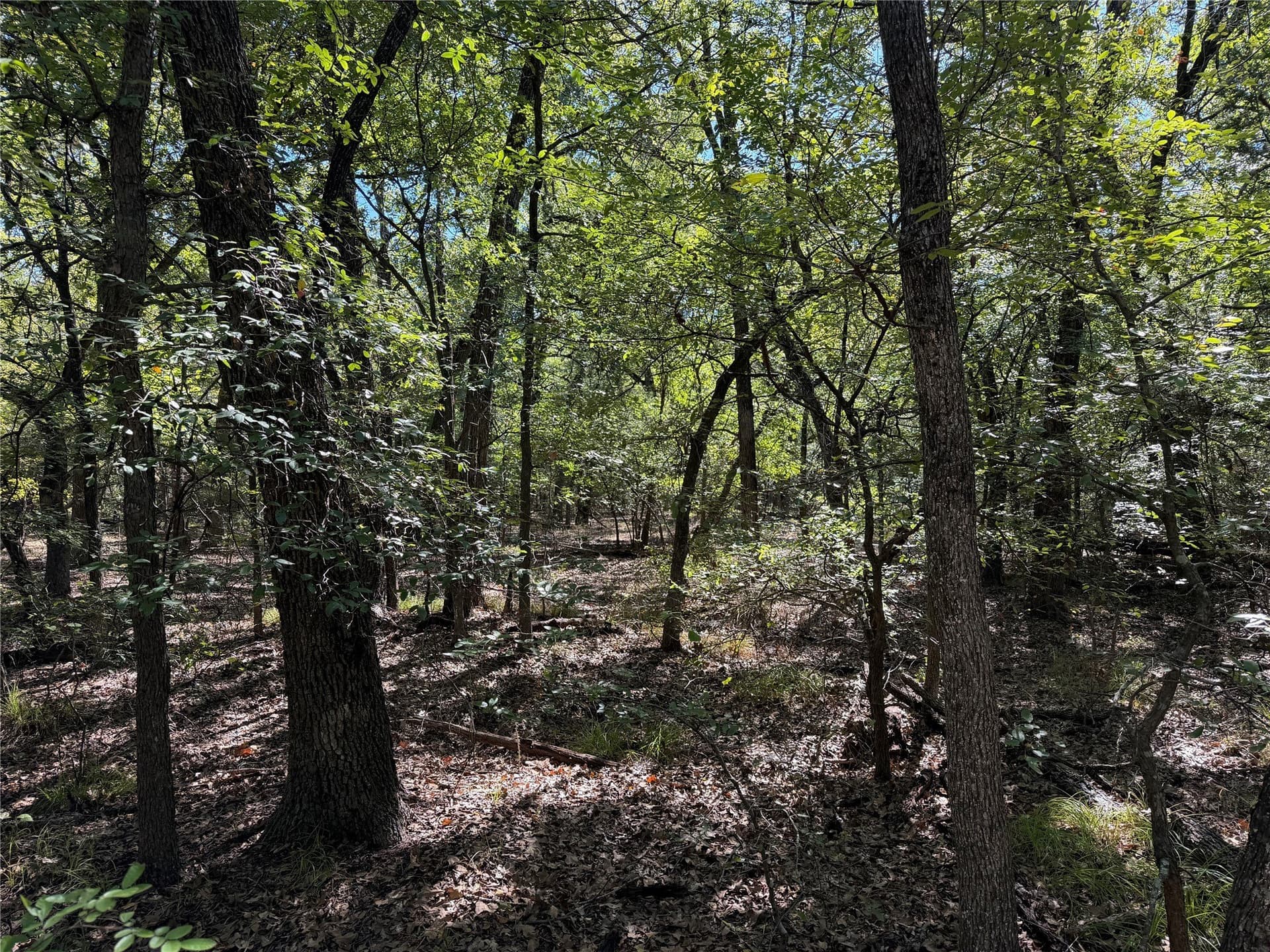 5 acres in Kaufman County - photo 14
