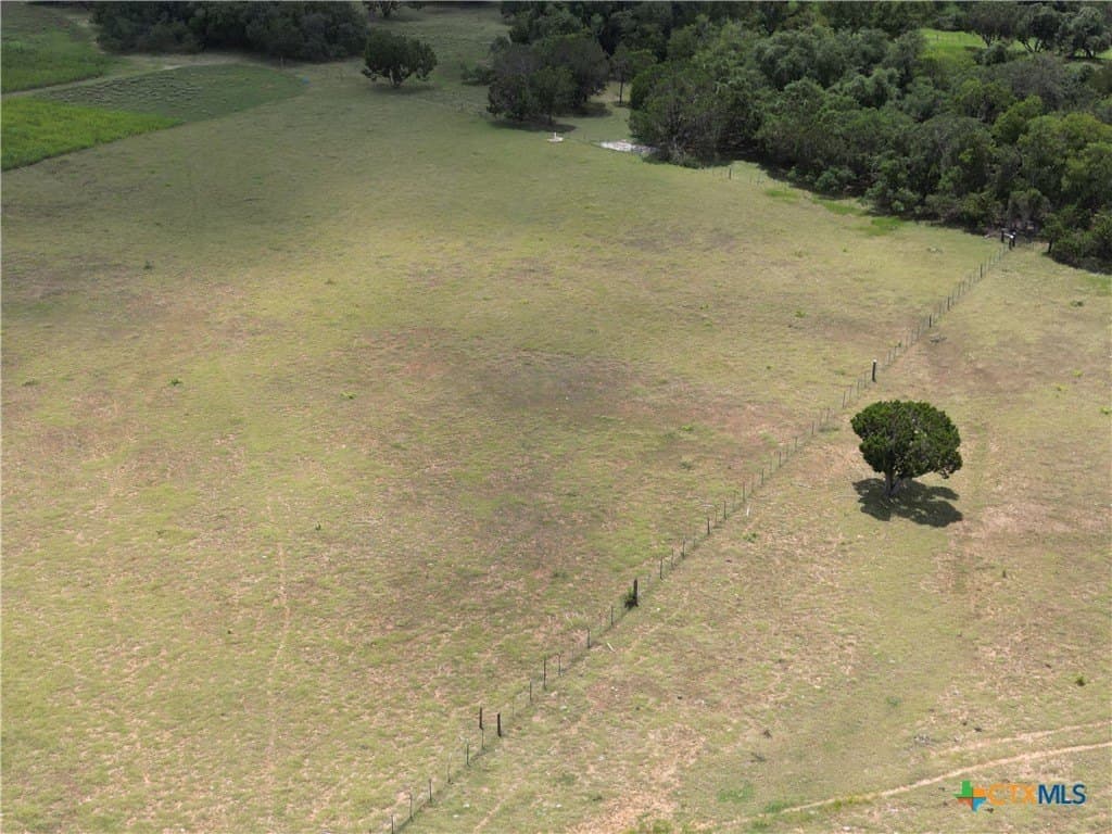 12 acres in Williamson County - photo 6
