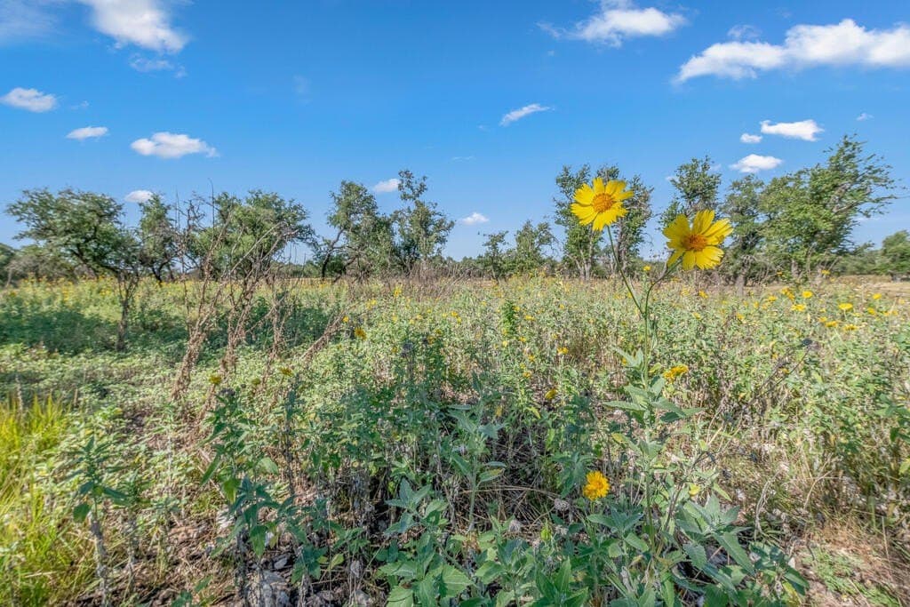 16 acres in Kerr County - photo 20