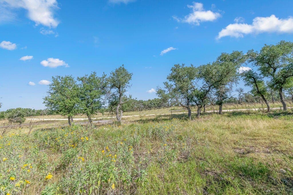 16 acres in Kerr County - photo 19