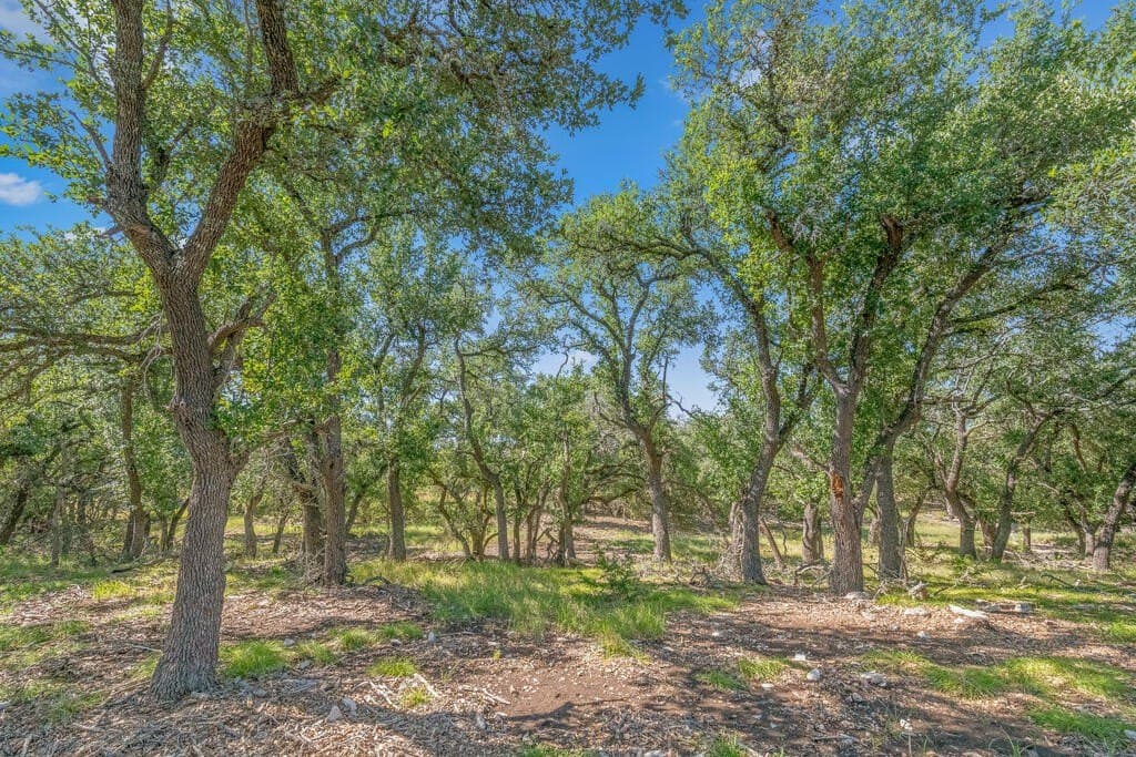 16 acres in Kerr County - photo 4