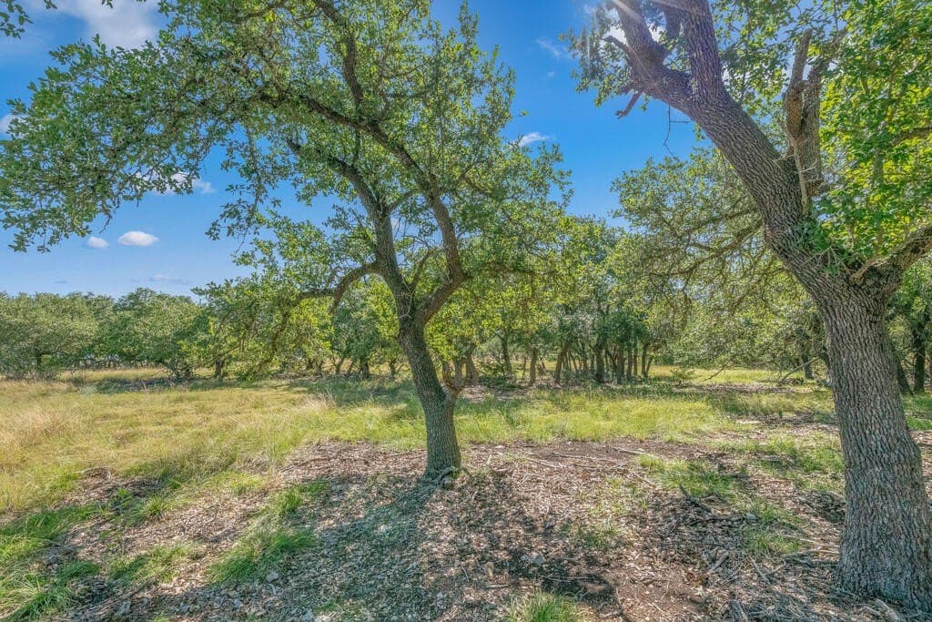 16 acres in Kerr County - photo 2