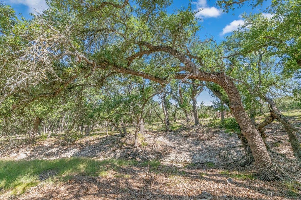 16 acres in Kerr County - photo 3