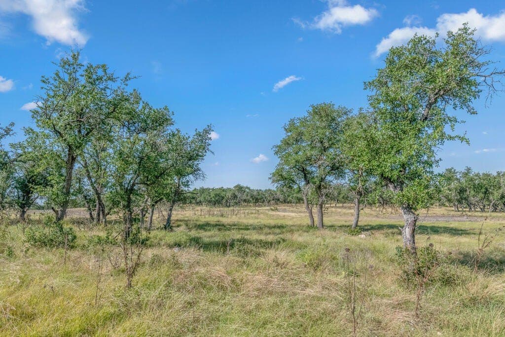 16 acres in Kerr County - photo 17
