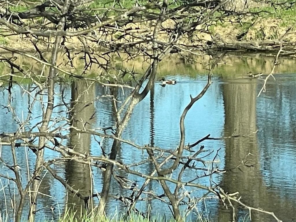 272.57 acres in Jack County featured view