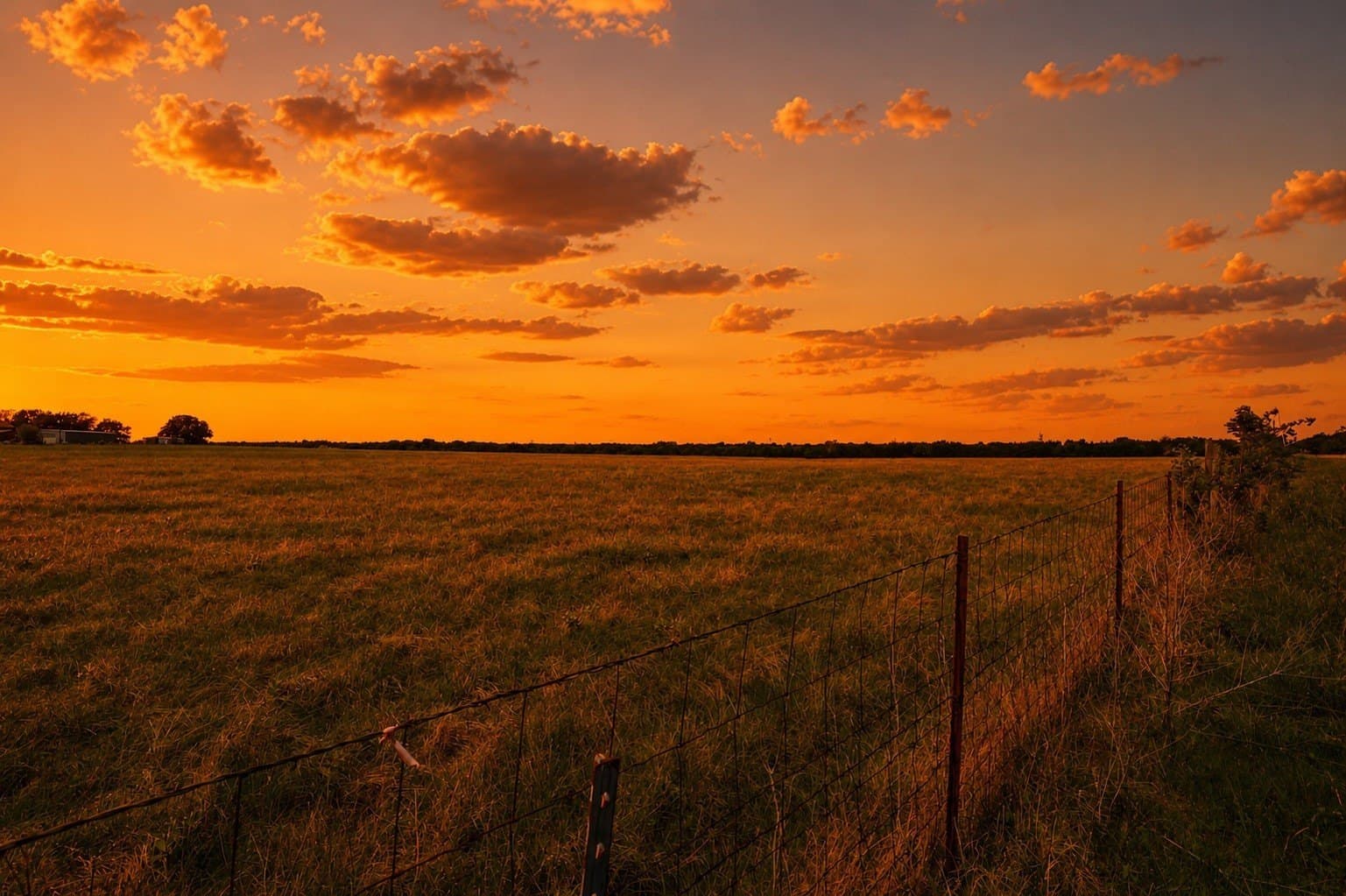 62.9 acres in Rockwall County - photo 8