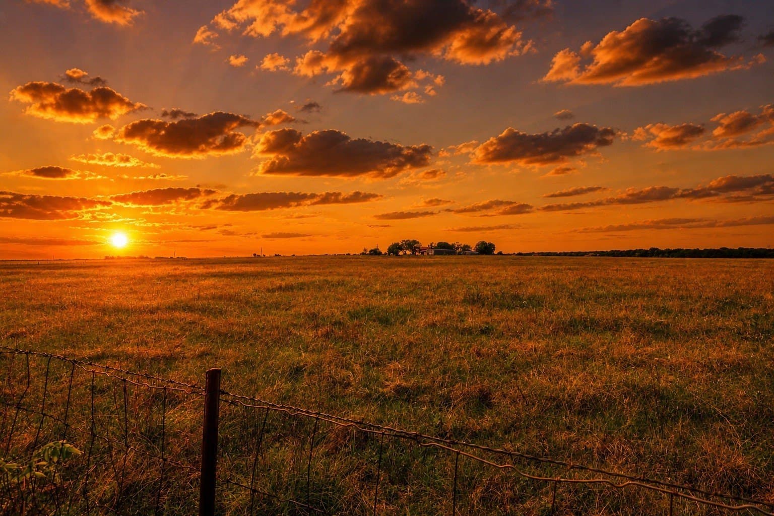 62.9 acres in Rockwall County - photo 12