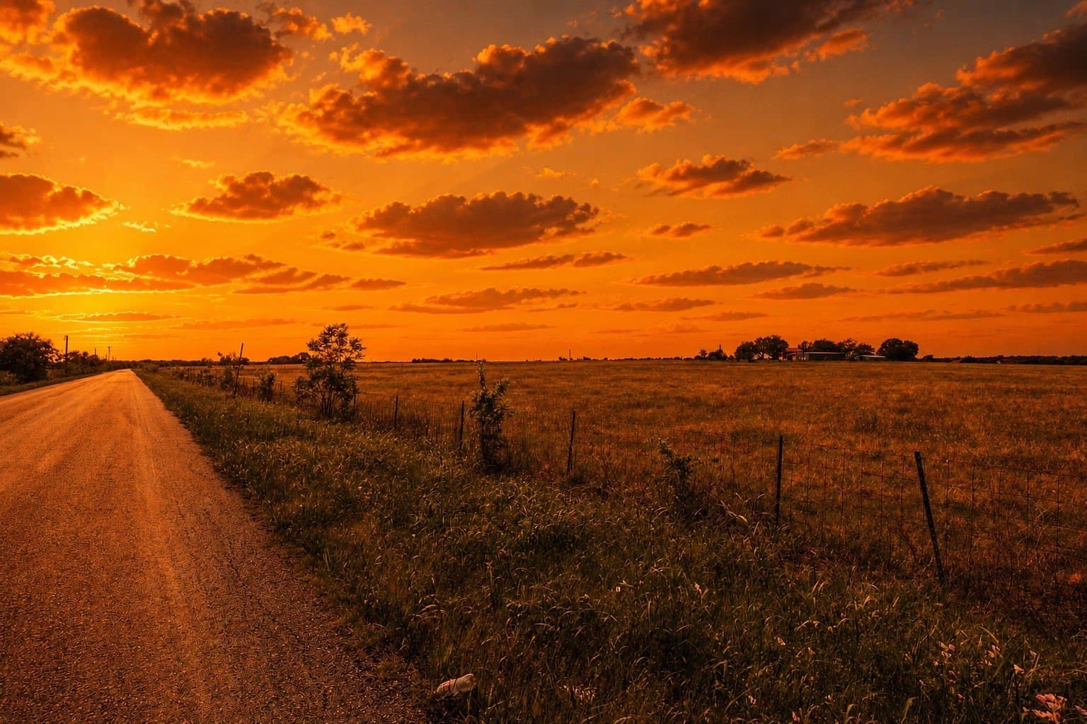 62.9 acres in Rockwall County - photo 14