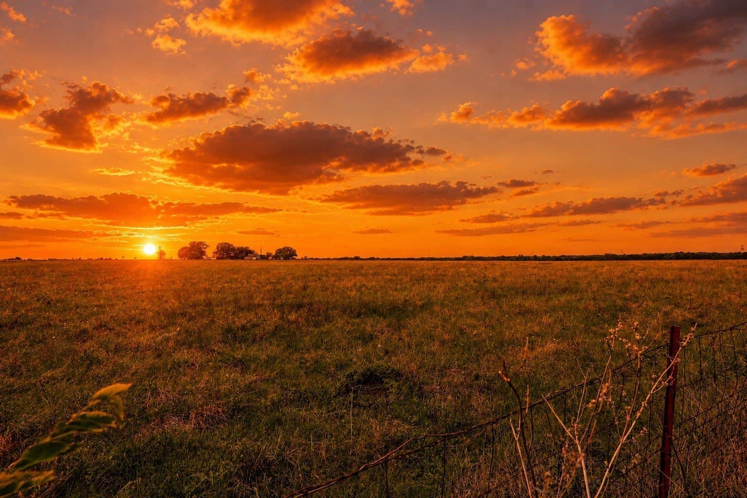 62.9 acres in Rockwall County - photo 9