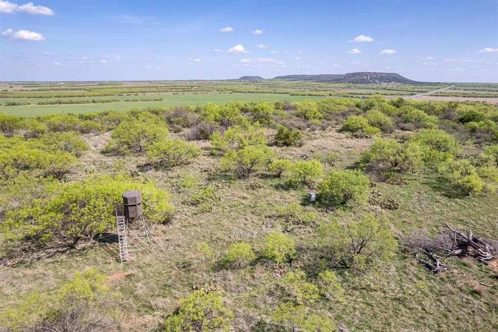 55 acres in Coleman County gallery image 4