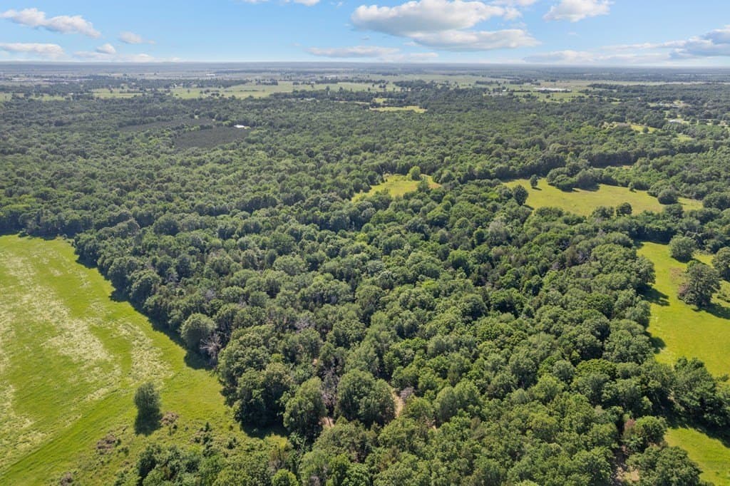 155.49 acres in ANDERSON County featured view