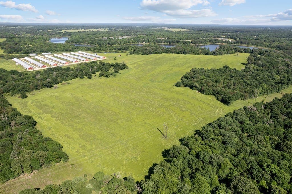 155.49 acres in ANDERSON County gallery image 3