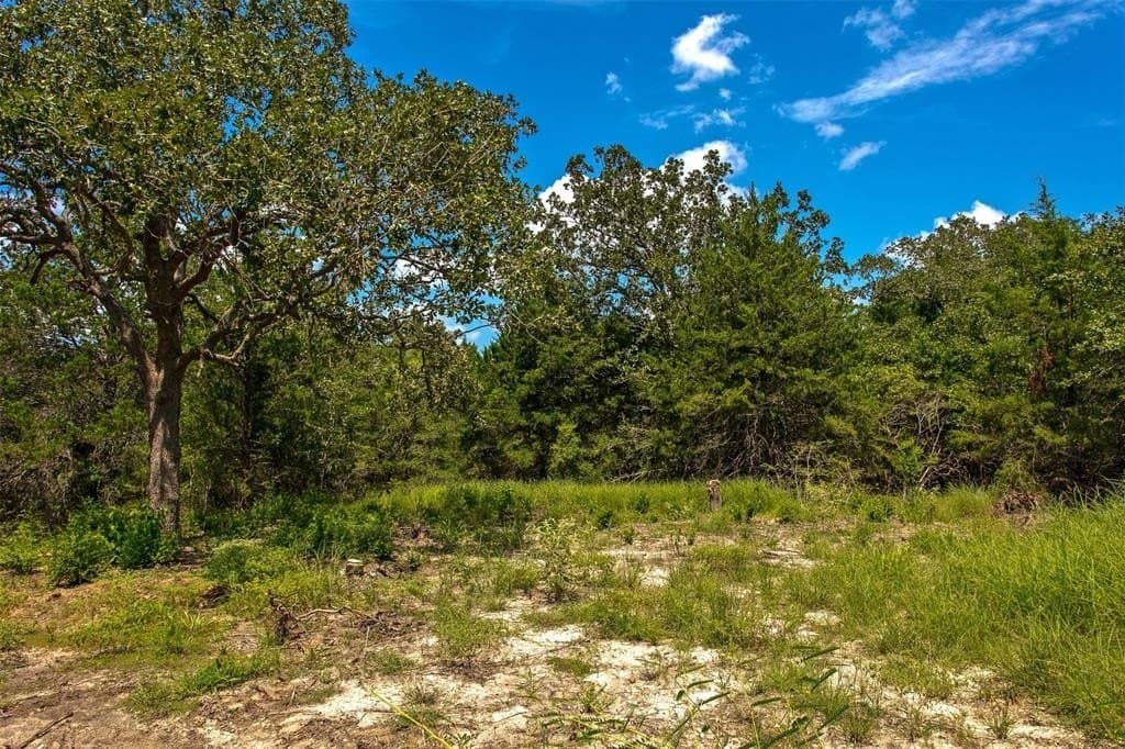 12.42 acres in Brazos County gallery image 4