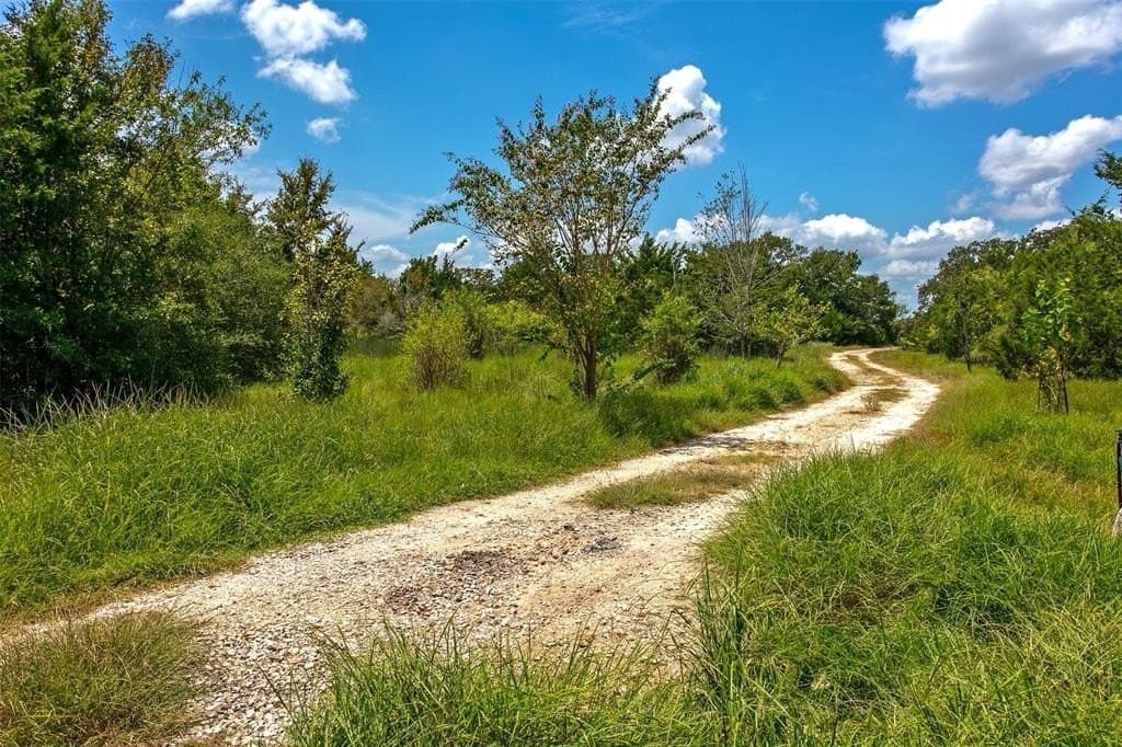 12.42 acres in Brazos County gallery image 3