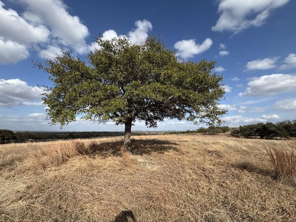 10.01 acres in Gillespie County - photo 11