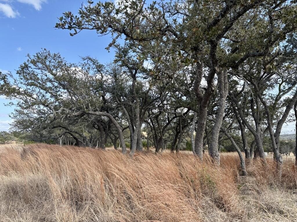 10.01 acres in Gillespie County - photo 12