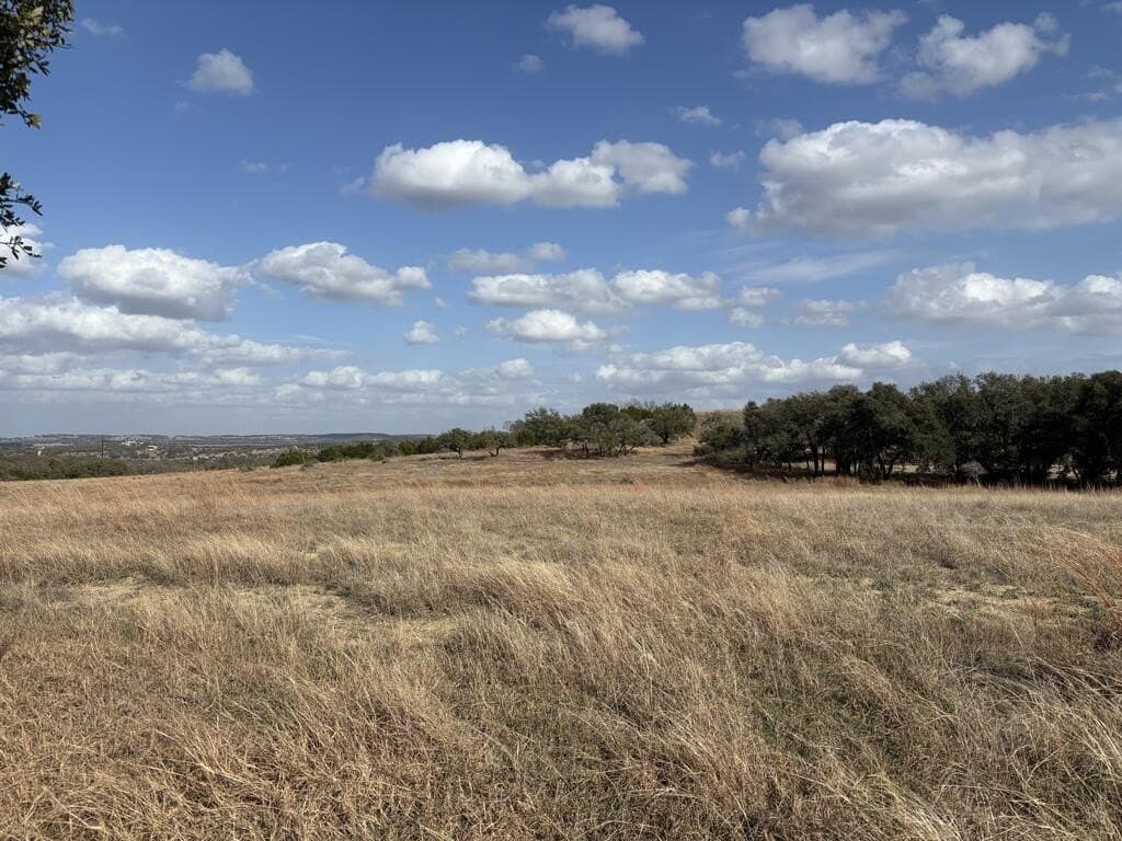 10.01 acres in Gillespie County - photo 10