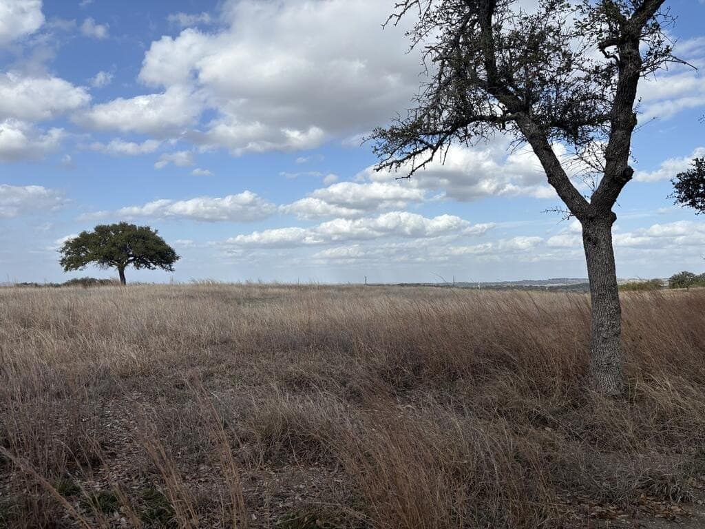 10.01 acres in Gillespie County - photo 9