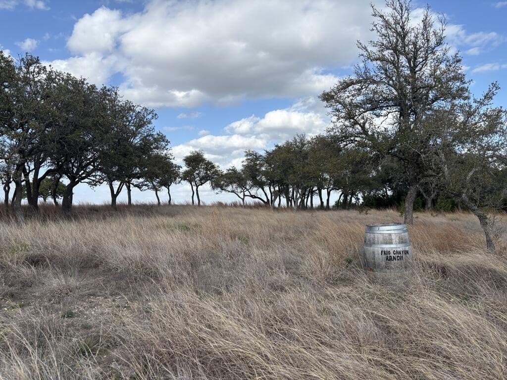 10.01 acres in Gillespie County - photo 6