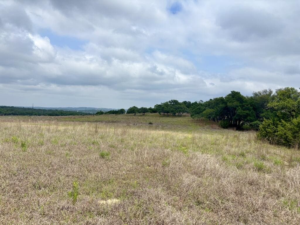 10.01 acres in Gillespie County - photo 3