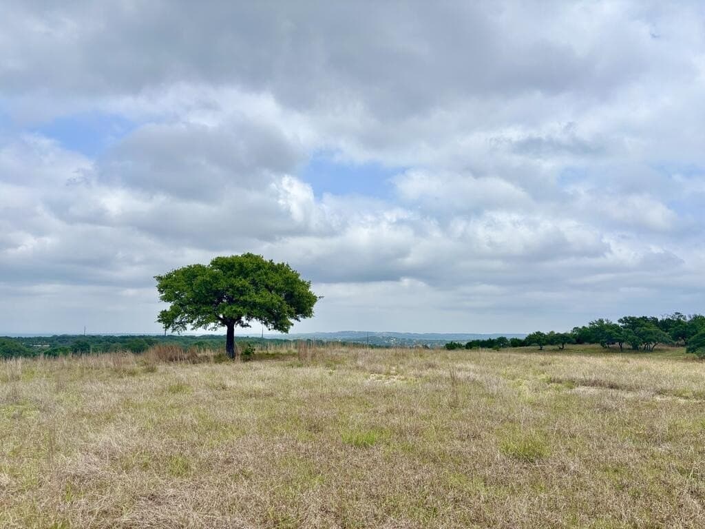 10.01 acres in Gillespie County - photo 2