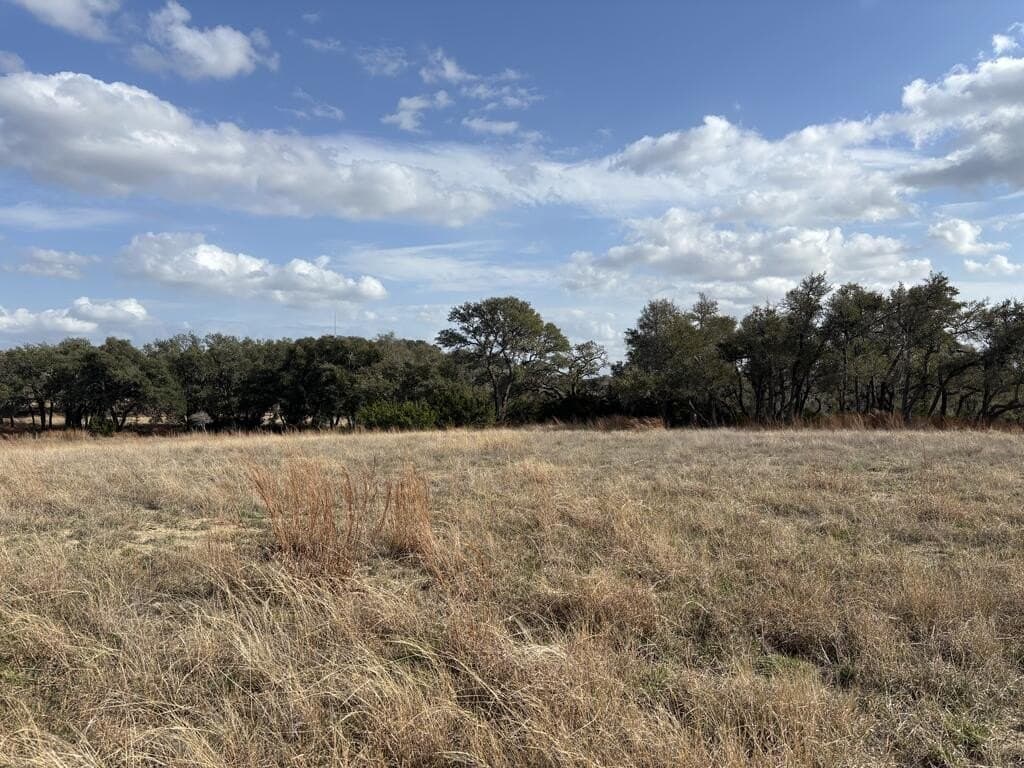 10.01 acres in Gillespie County - photo 7