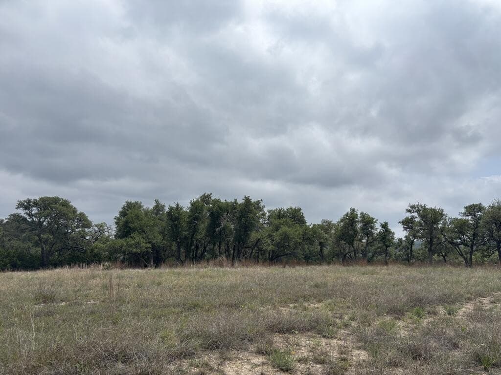 10.01 acres in Gillespie County - photo 4