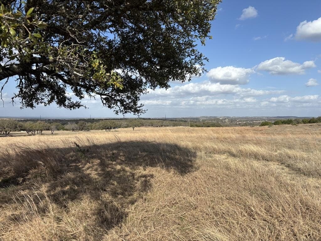 10.01 acres in Gillespie County - photo 8