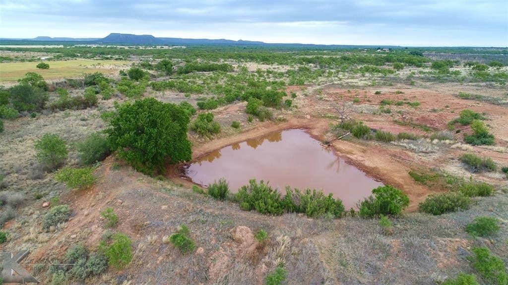 155 acres in Coke County gallery image 2