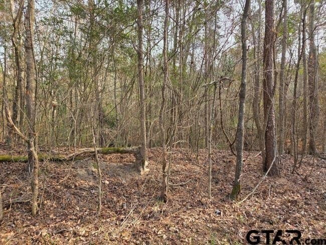 7.85 acres in Rusk County featured view