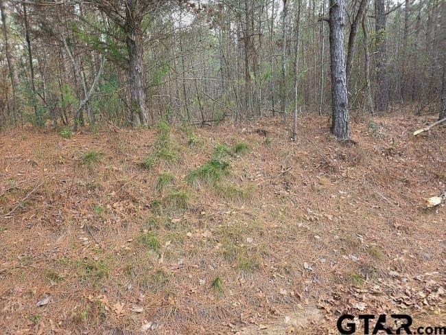 7.85 acres in Rusk County gallery image 4