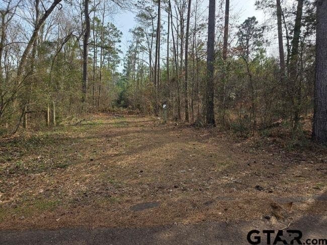 7.85 acres in Rusk County gallery image 2