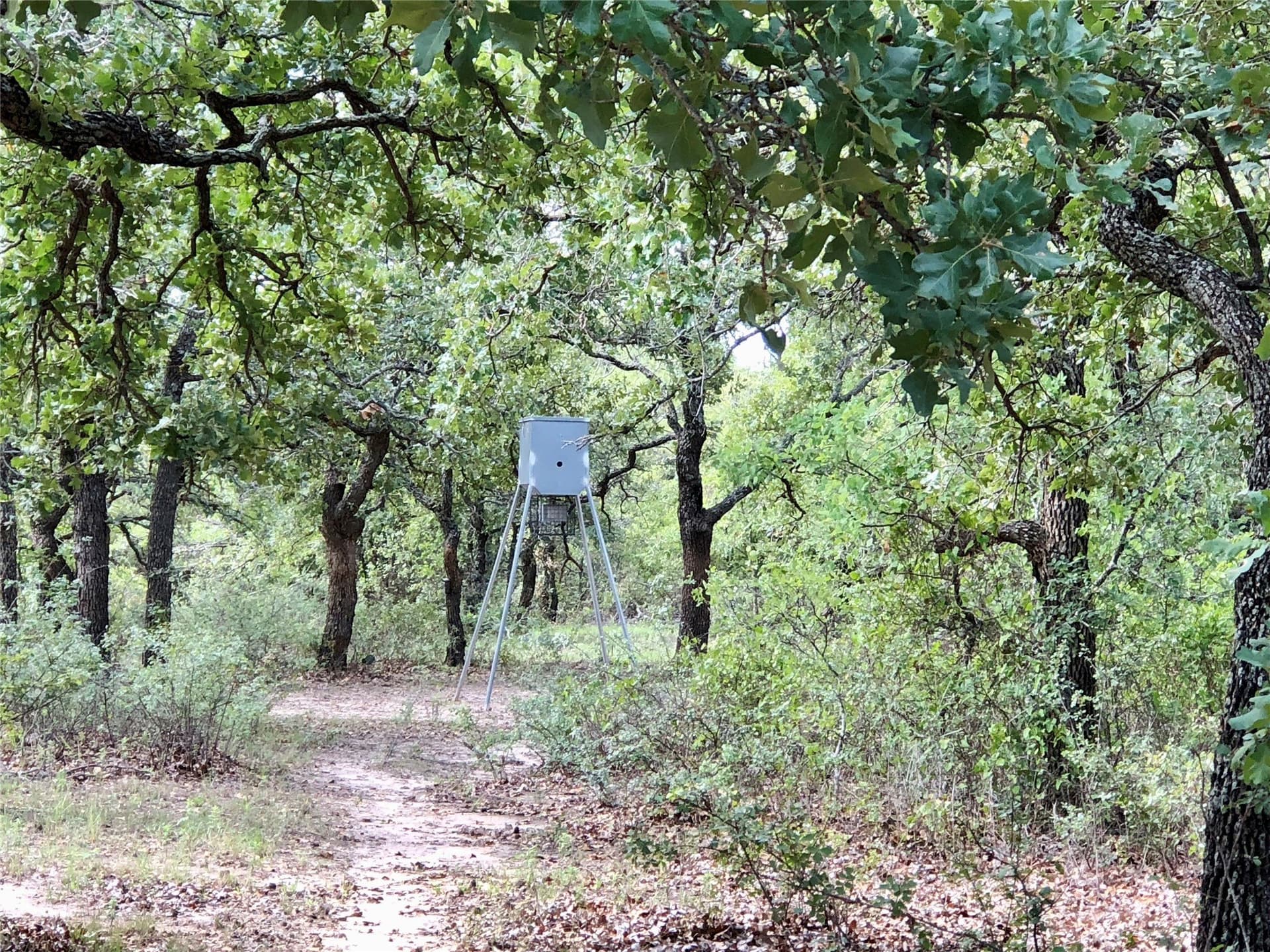 109.36 acres in Eastland County - photo 33