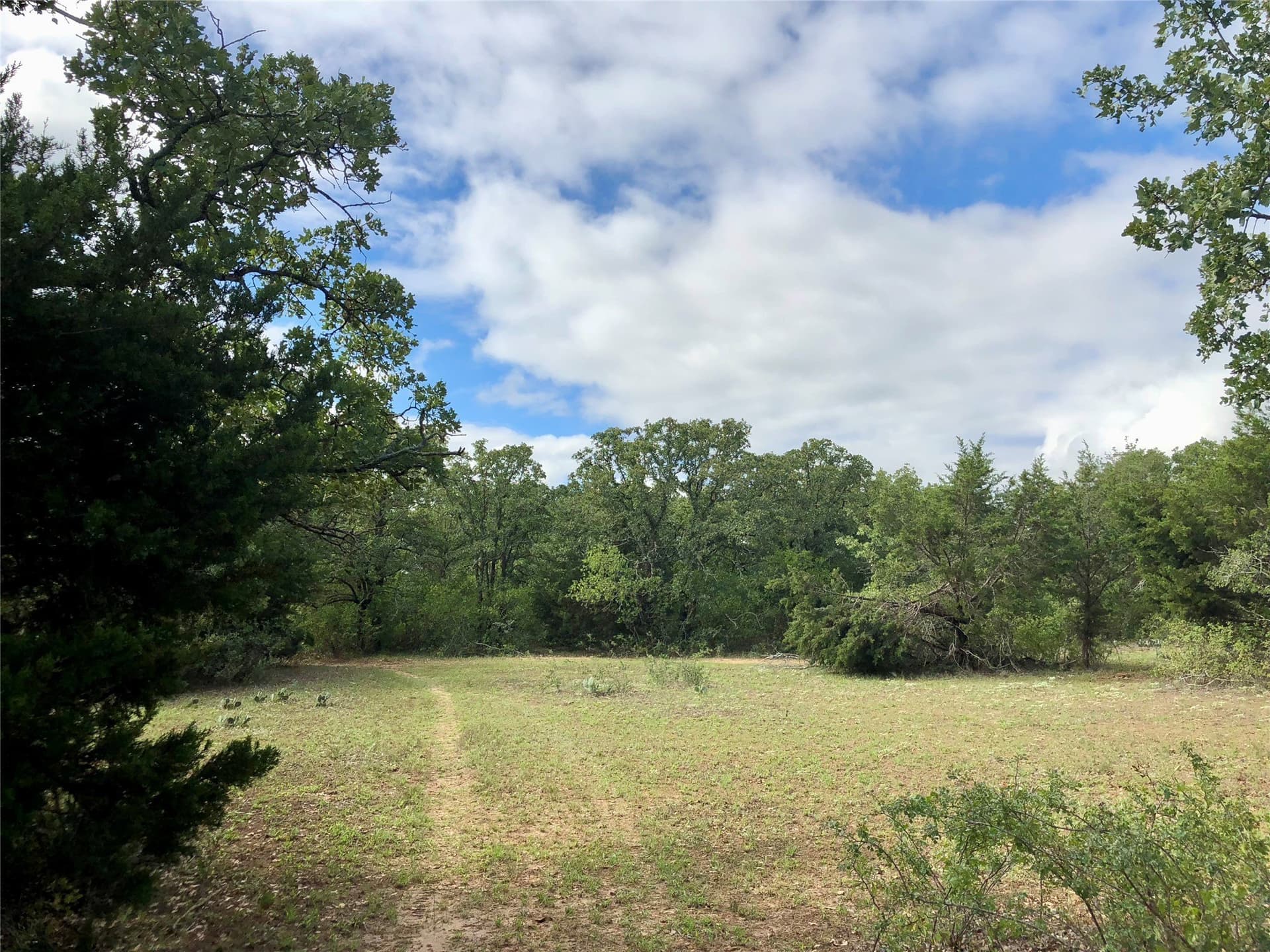 109.36 acres in Eastland County - photo 35