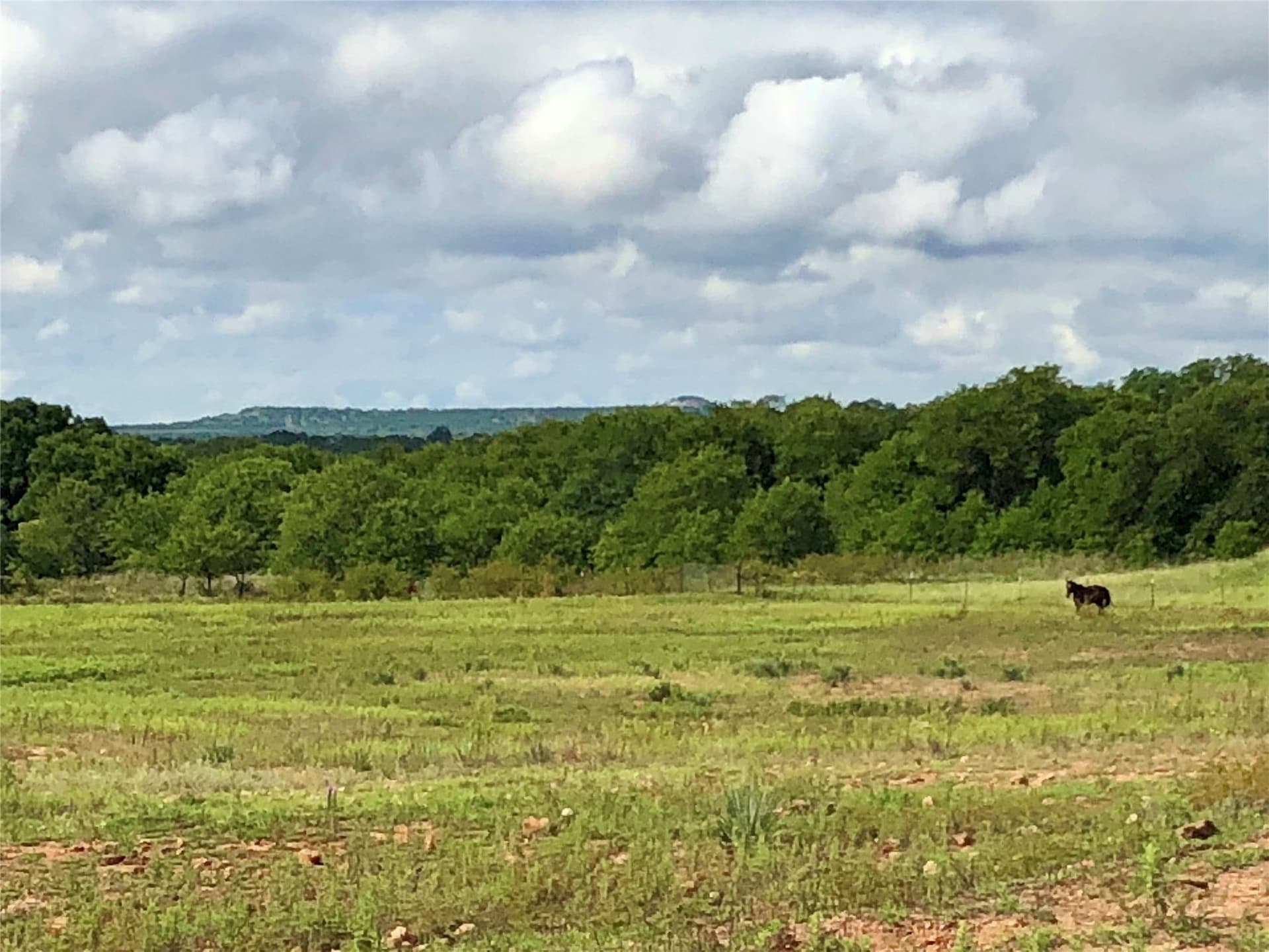 109.36 acres in Eastland County - photo 37