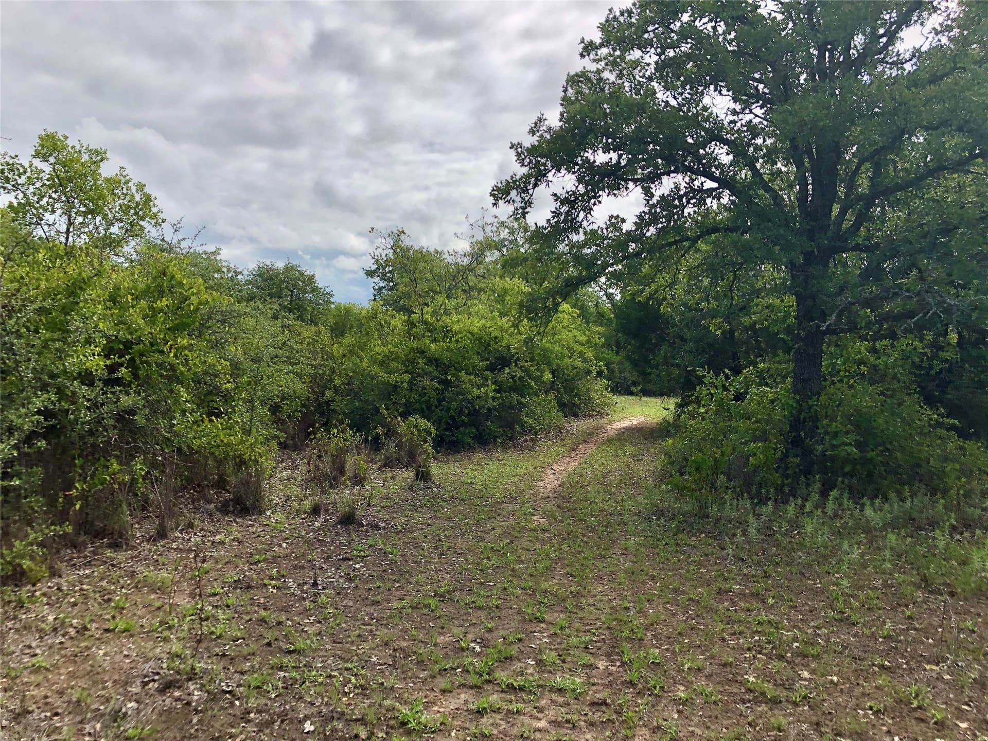 109.36 acres in Eastland County - photo 34