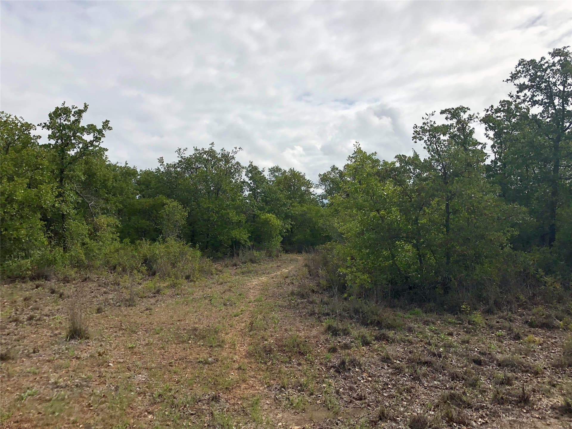 109.36 acres in Eastland County - photo 36