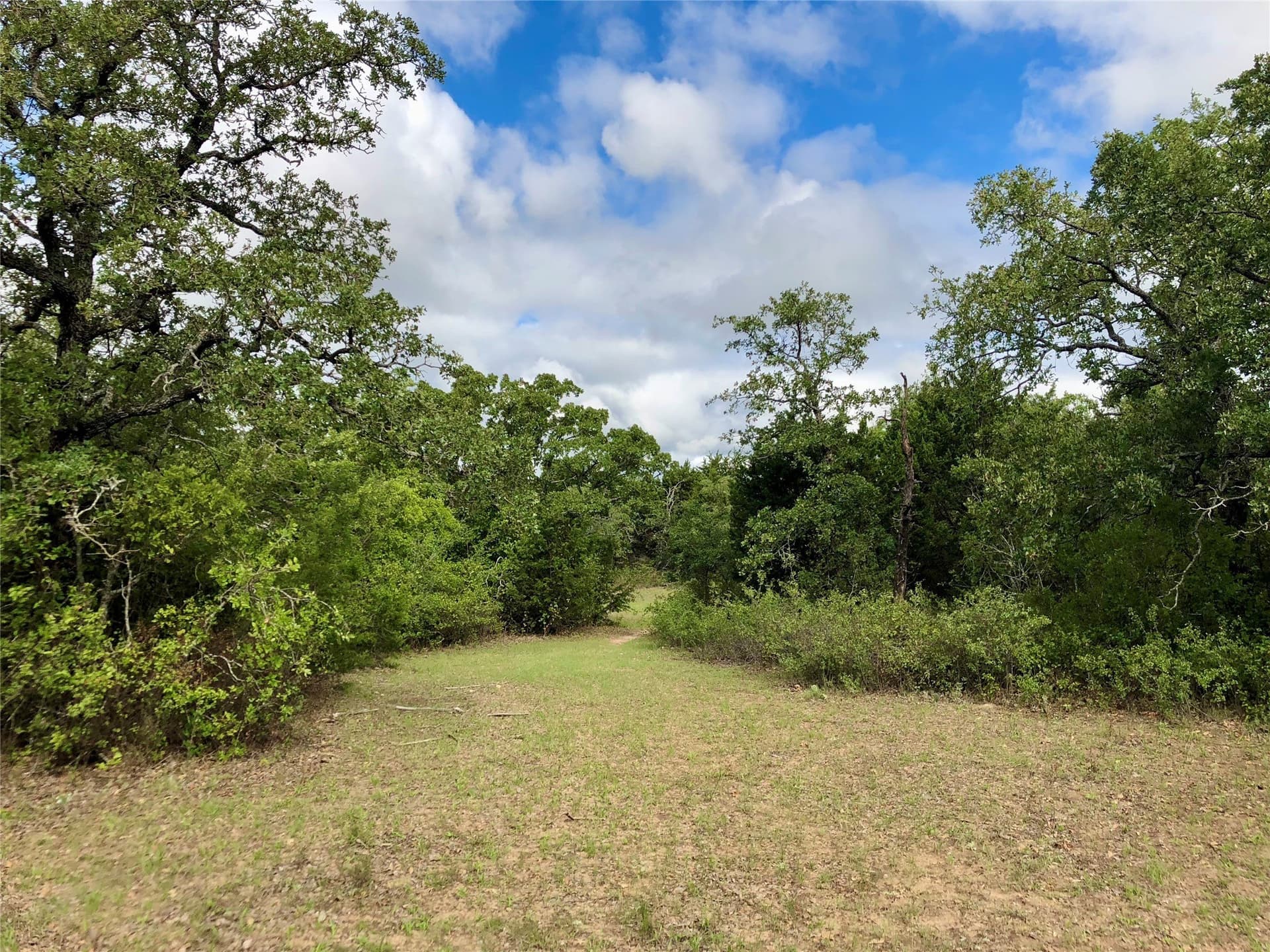 109.36 acres in Eastland County - photo 32