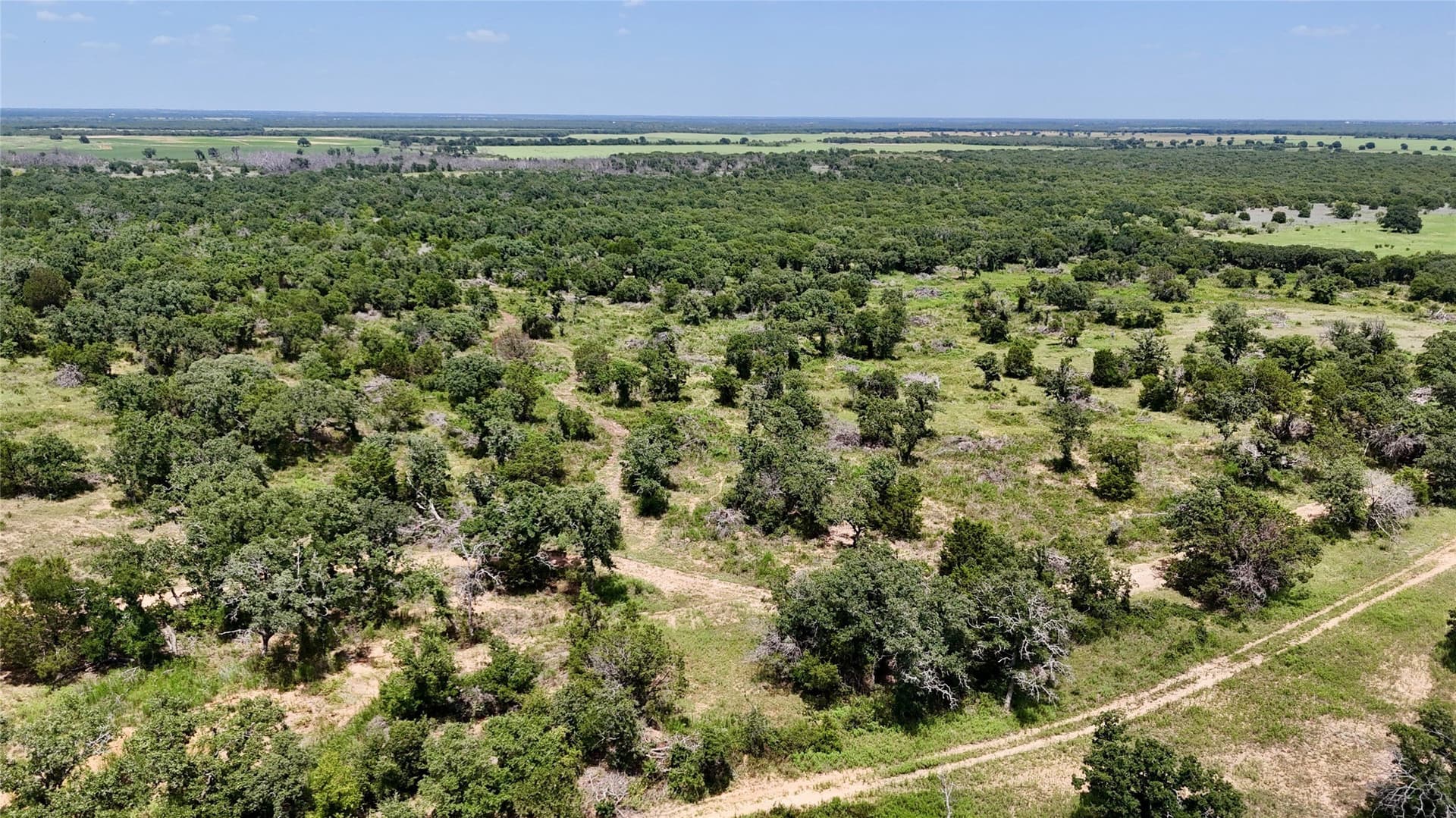109.36 acres in Eastland County - photo 24