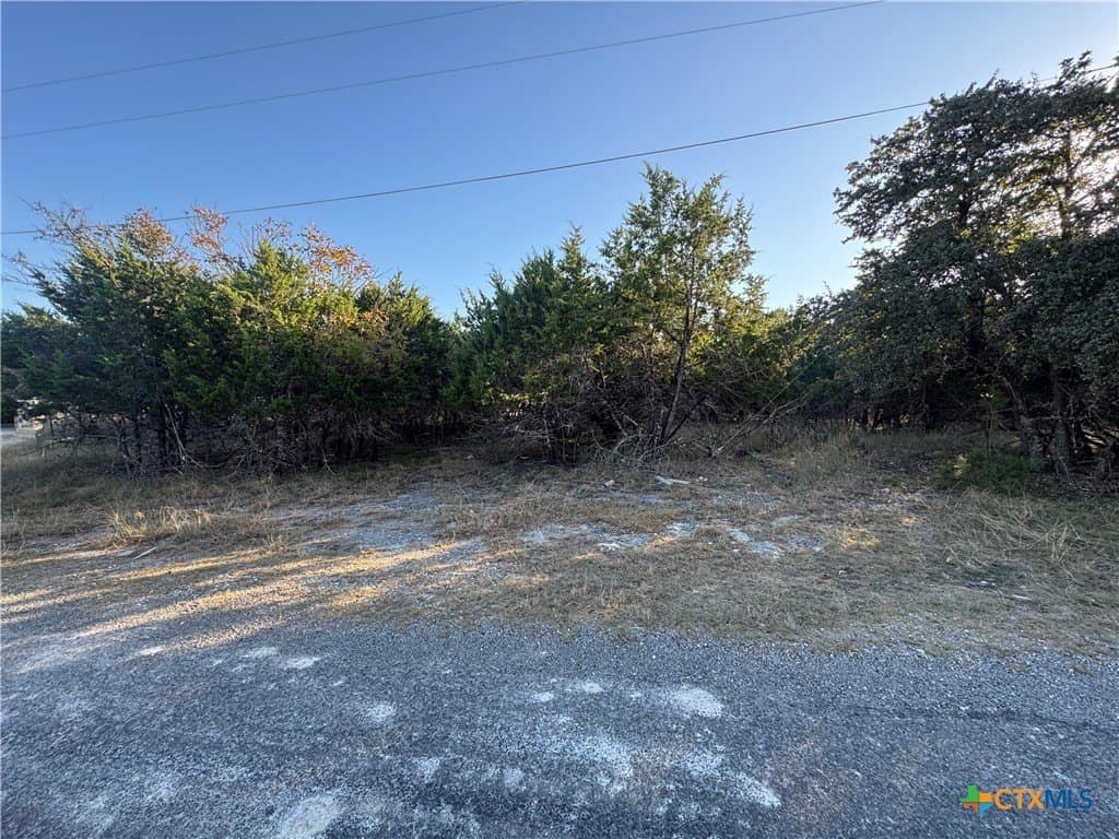 0.34 acres in Bell County gallery image 3