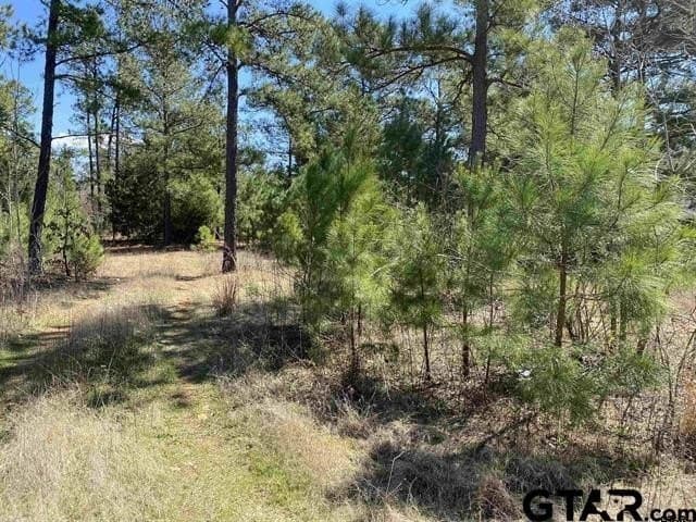 12.54 acres in Cherokee County