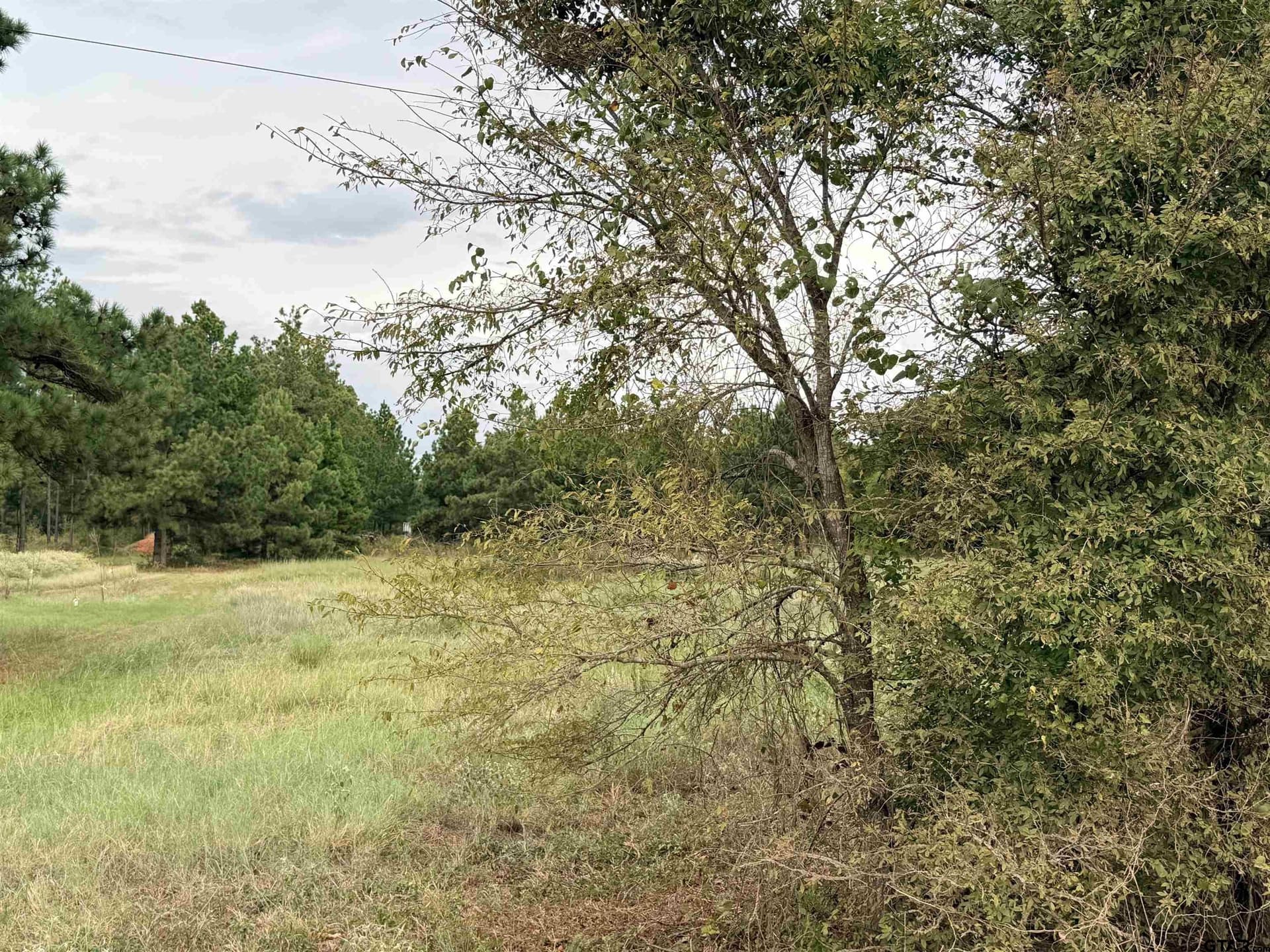 12.54 acres in Cherokee County - photo 4