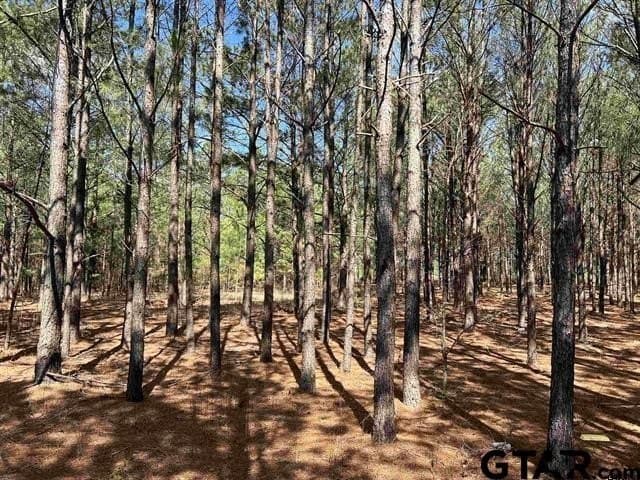 12.54 acres in Cherokee County - photo 6