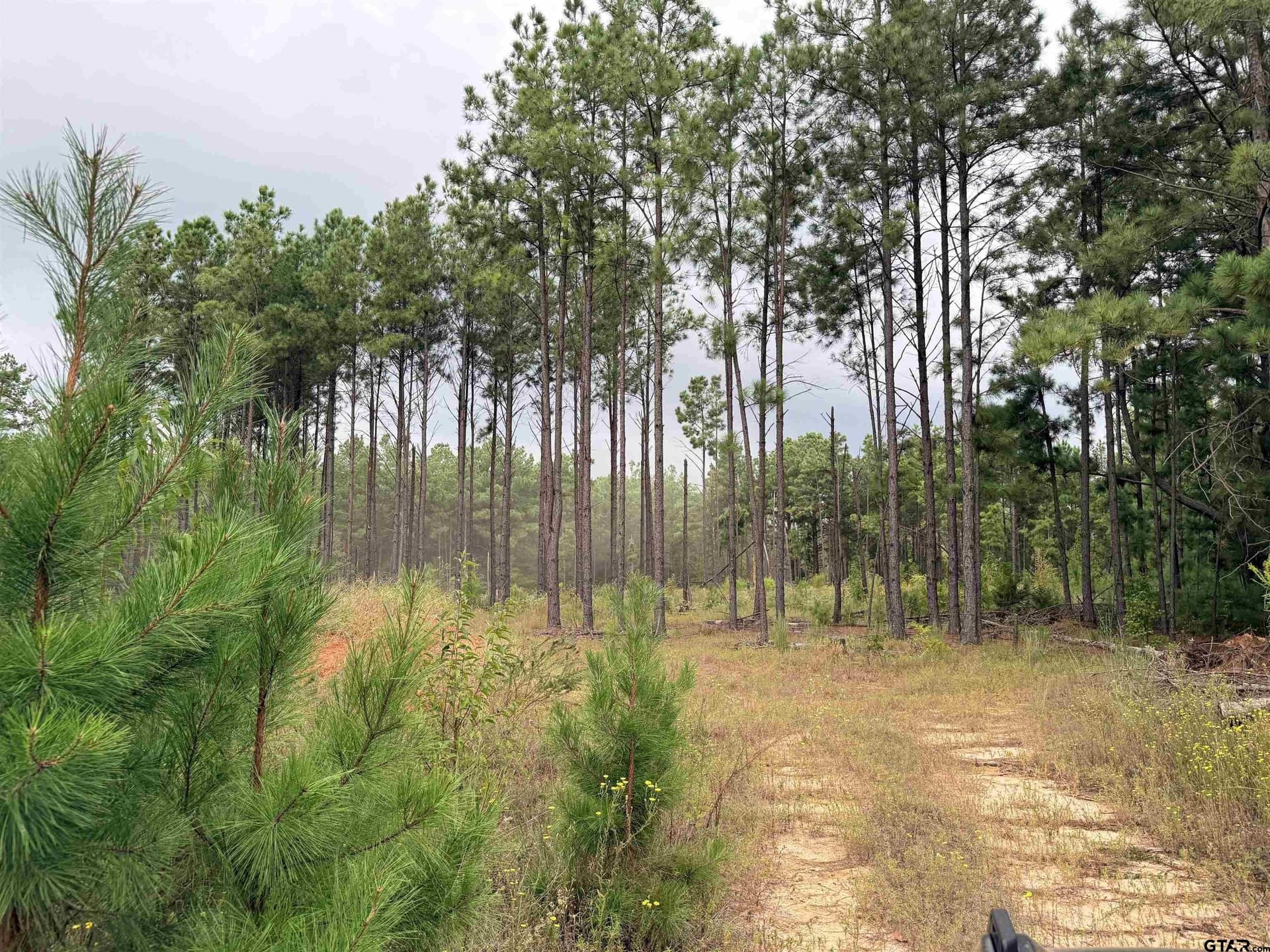12.54 acres in Cherokee County - photo 2
