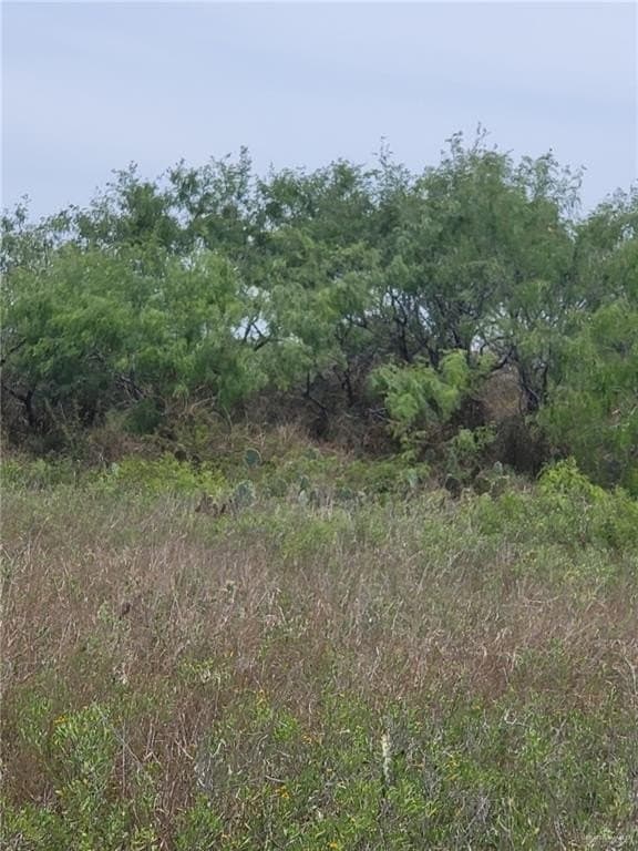 111.67 acres in Cameron County - photo 19
