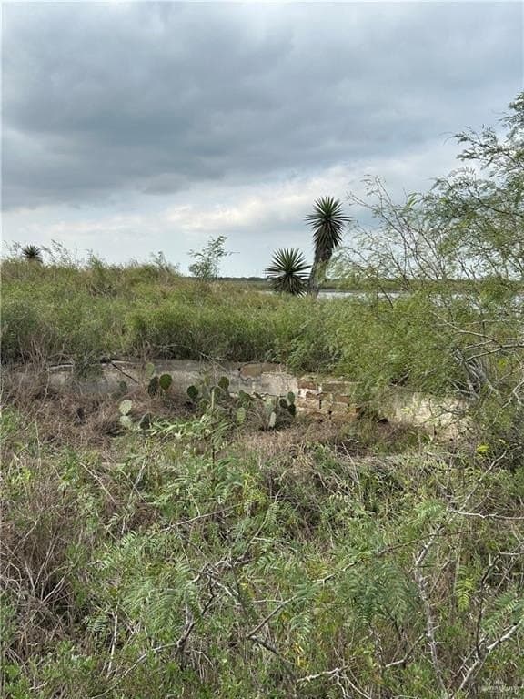 111.67 acres in Cameron County